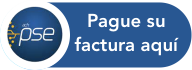 Pagar con PSE, pagos seguros en línea
